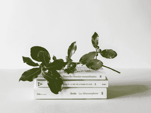 网页版手机号攻击